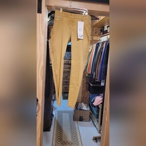 High-Rise Mustard Skinny Pants for Women